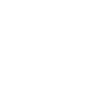 Leftward pointing arrow icon